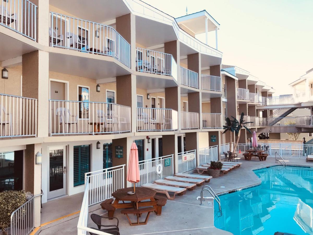 12 Central Hotels Near Seaport Safari That Deliver Real Value